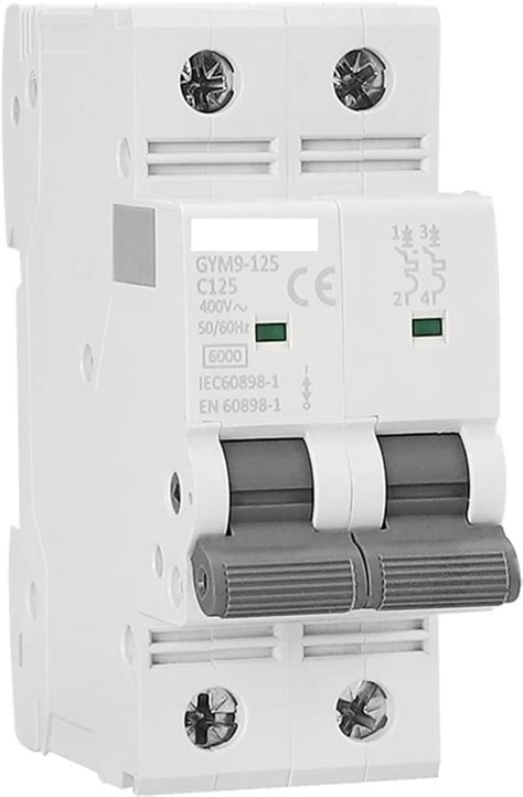 6kA 2P 100A Circuit Breaker C-Curve